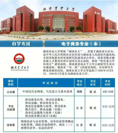 专升本学校电子商务专业