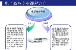 电子商务专业能考公