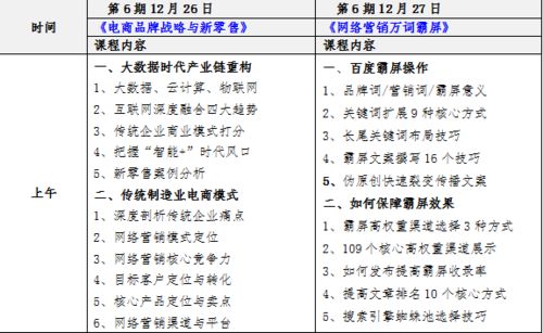 电子商务技术的专业代码