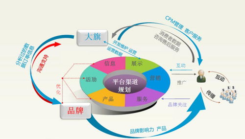 电子商务对口学什么专业