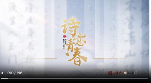 追光的你