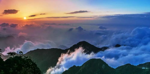 3男子泰山山顶呼呼大睡错过看日出