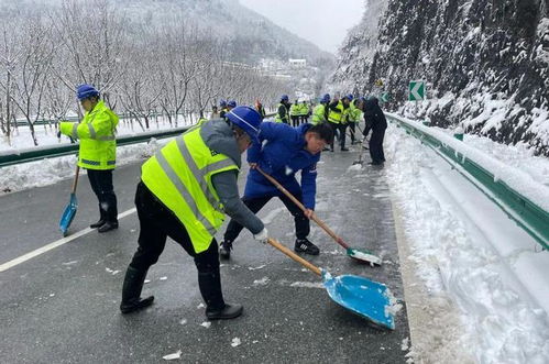 西湖风景区紧急回应，农药喷洒事件，游客安全得到保障