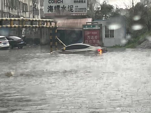 特大暴雨来临，城市与自然的共同挑战
