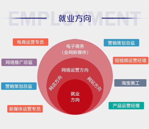 电子商务专业之职业规划