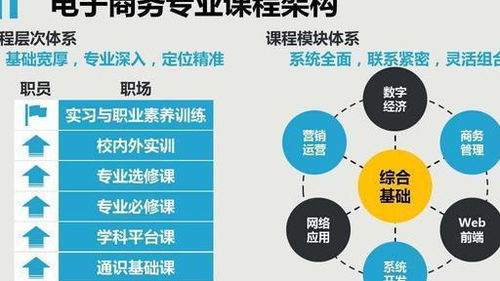 医药行业电子商务专业