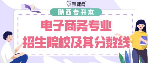 专升本电子商务专业复习资料