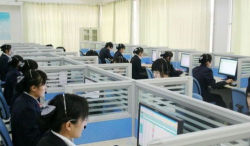 电子商务及法律专业好崴