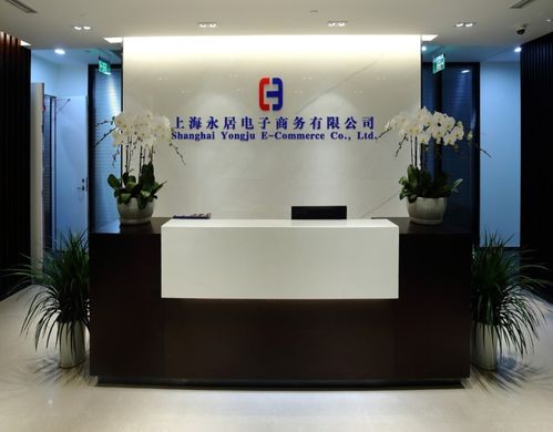 上海专业型电子商务企业