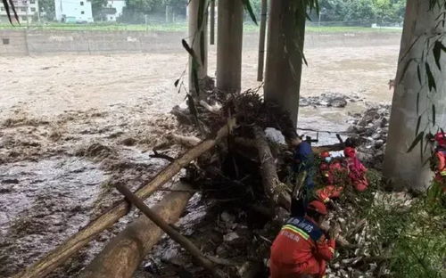 村民记录贵州垮塌大桥瞬间，惊魂时刻的见证