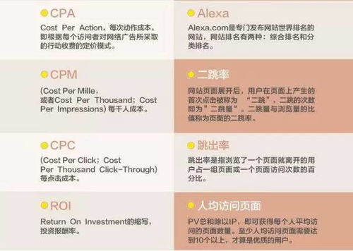 电子商务专业的专业知识是什么